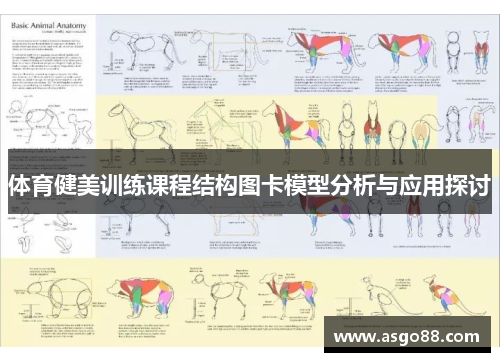 体育健美训练课程结构图卡模型分析与应用探讨